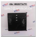 TRICONEX 4000094-320 | sales2@amikon.cn | Large In Stock